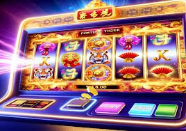 bet 6 কেনো নির্দেশনা কার্ড